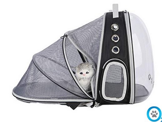 کوله پشتی شیشه ای حمل گربه سایز ۲ پارکشو