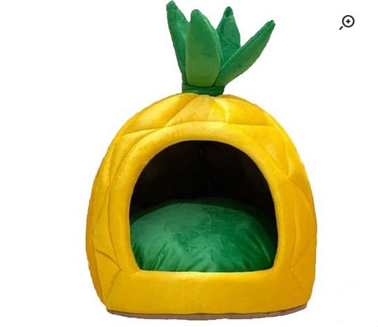 جای خواب آناناس گربه