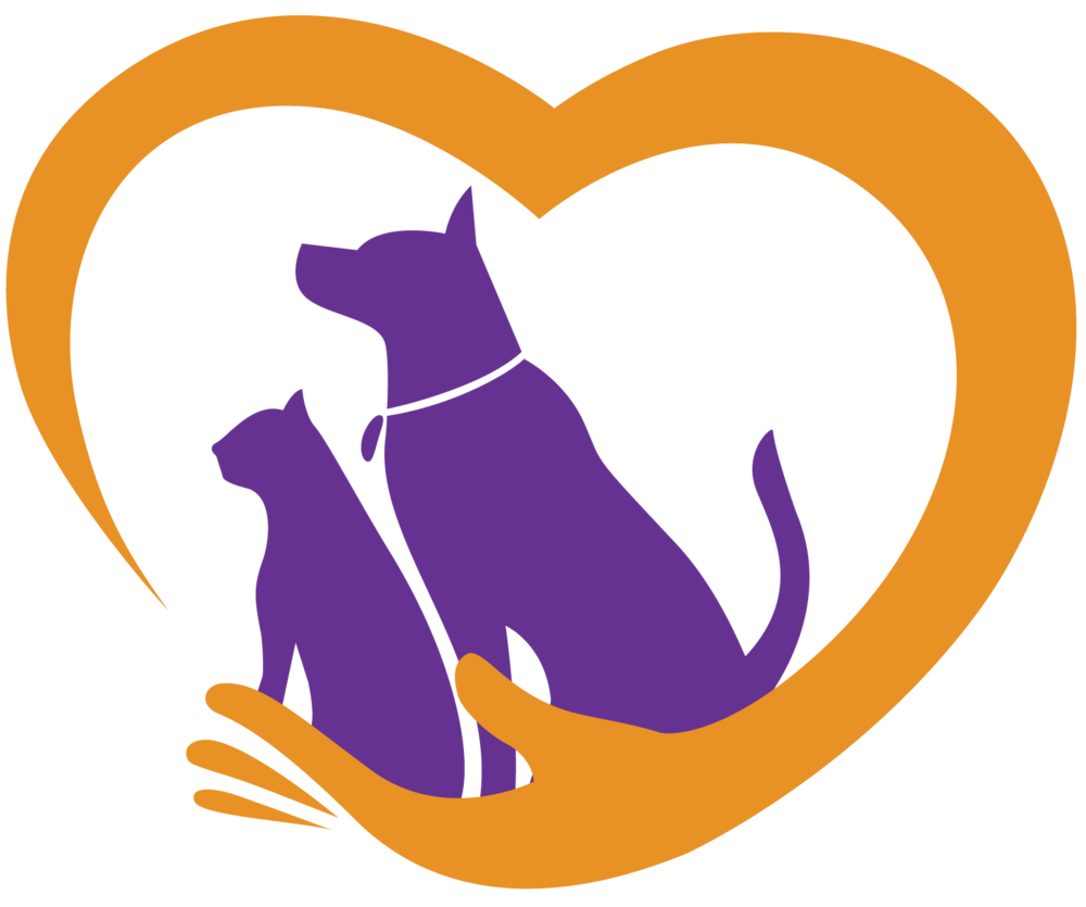 Pashmalu - فروشگاه پشمالو - فروش لوازم پت شاپ